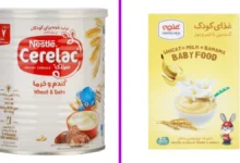 مخلوط کن برای نوزاد چی خوبه؟ نی نی سایت
