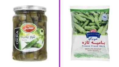 مخلوط کن چی بخرم