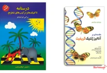 بهترین روش های نگهداری گل های آپارتمانی: راهنمای جامع
