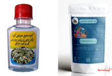 بهترین گل های آپارتمانی با نگهداری آسان: برای مبتدیان